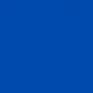 Promotional Leather Keychain 20026